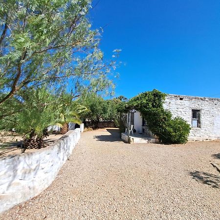 Olive Grove Cottage Koringberg 외부 사진