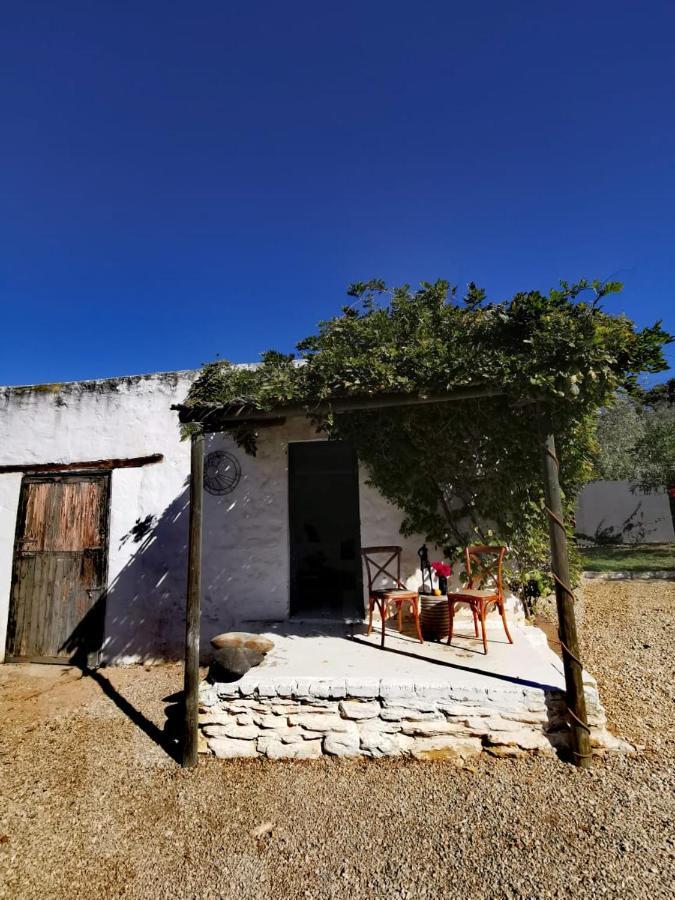Olive Grove Cottage Koringberg 외부 사진