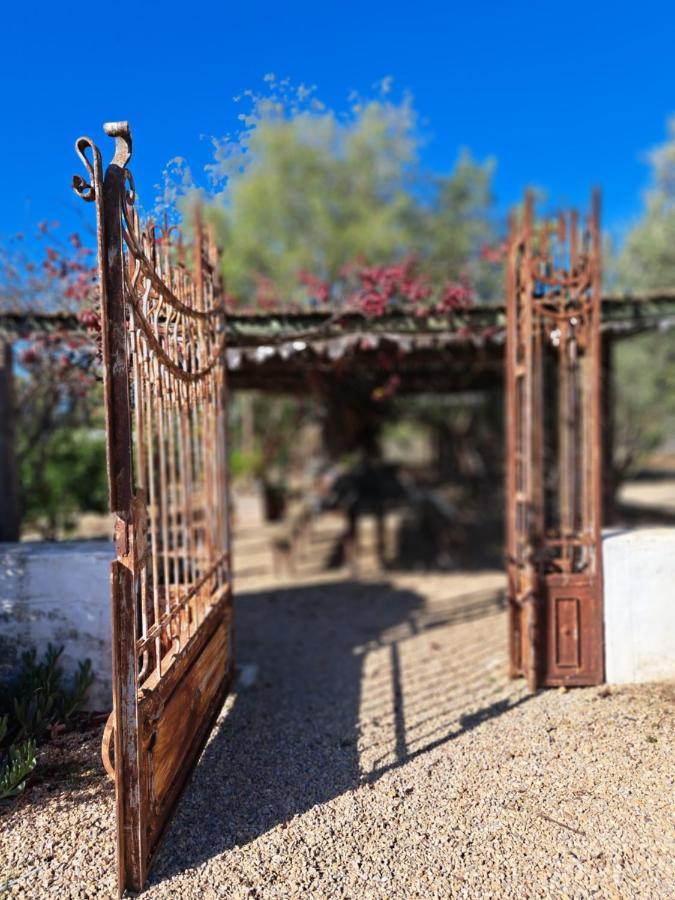 Olive Grove Cottage Koringberg 외부 사진