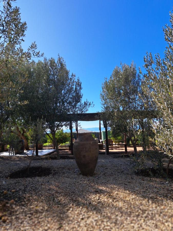 Olive Grove Cottage Koringberg 외부 사진