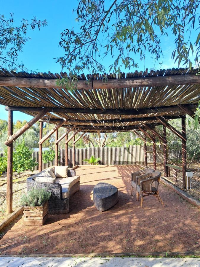 Olive Grove Cottage Koringberg 외부 사진